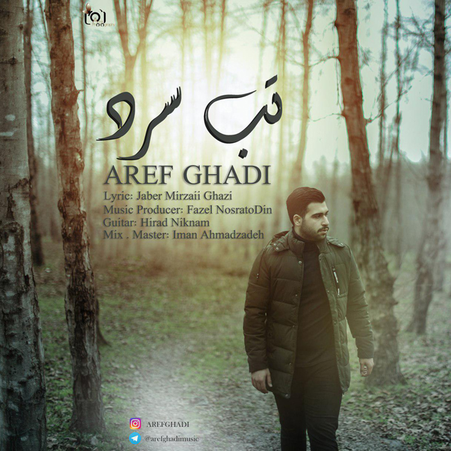 دانلود آهنگ تب سرد